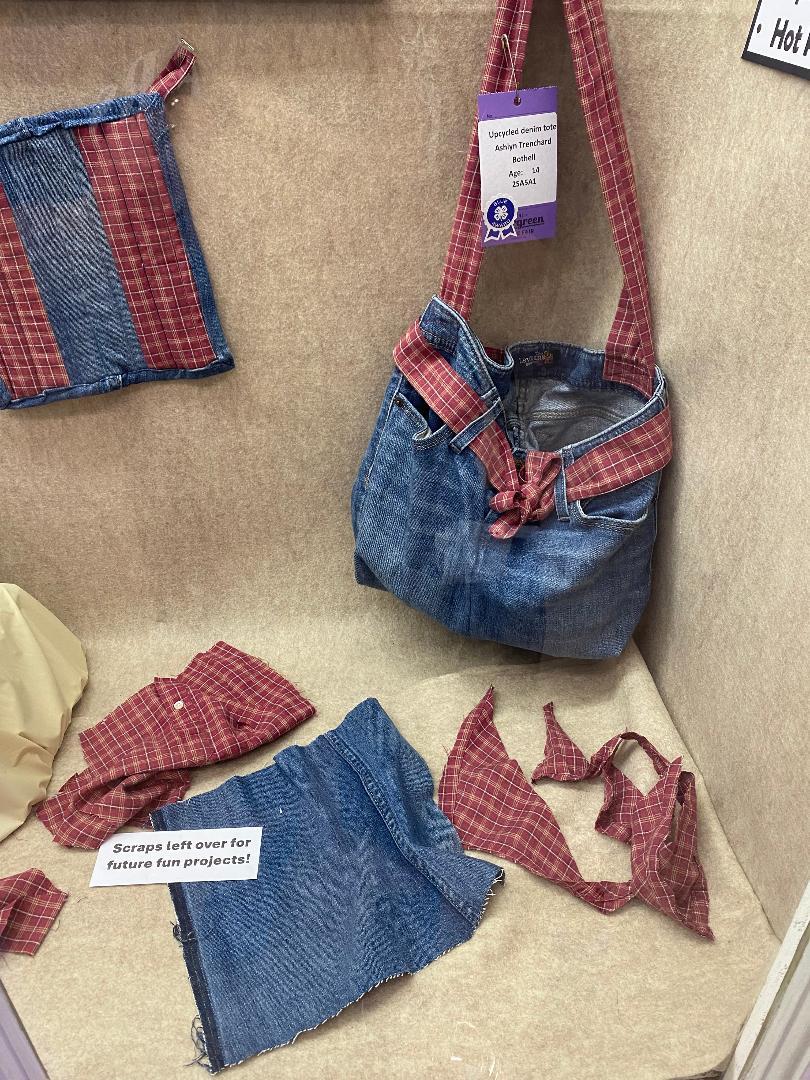 4H entry of repurposed sewing items at Monroe Fair